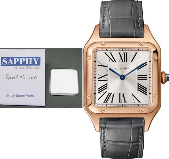 Cartier MEN SANTOS DE CARTIER תיקון שעונים AAA w2sa0006 w2sa0007 w2sa0008